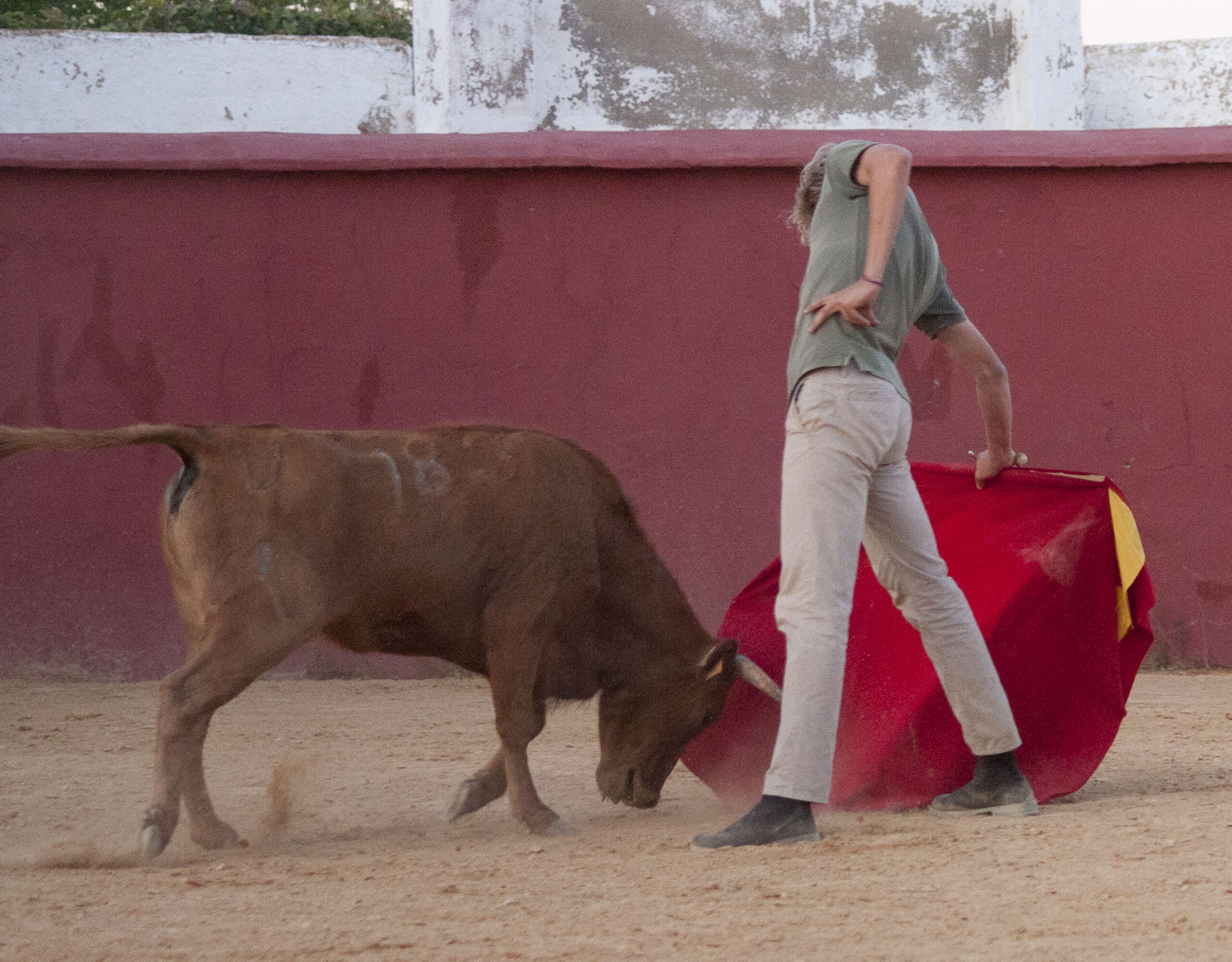 Tentadero en Daniel Ruiz