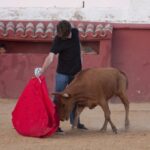 Tentadero en Daniel Ruiz