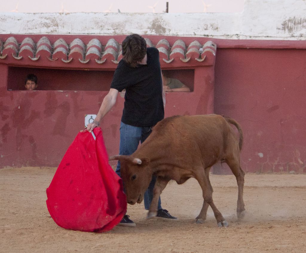 Tentadero en Daniel Ruiz