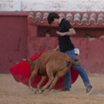 Tentadero en Daniel Ruiz