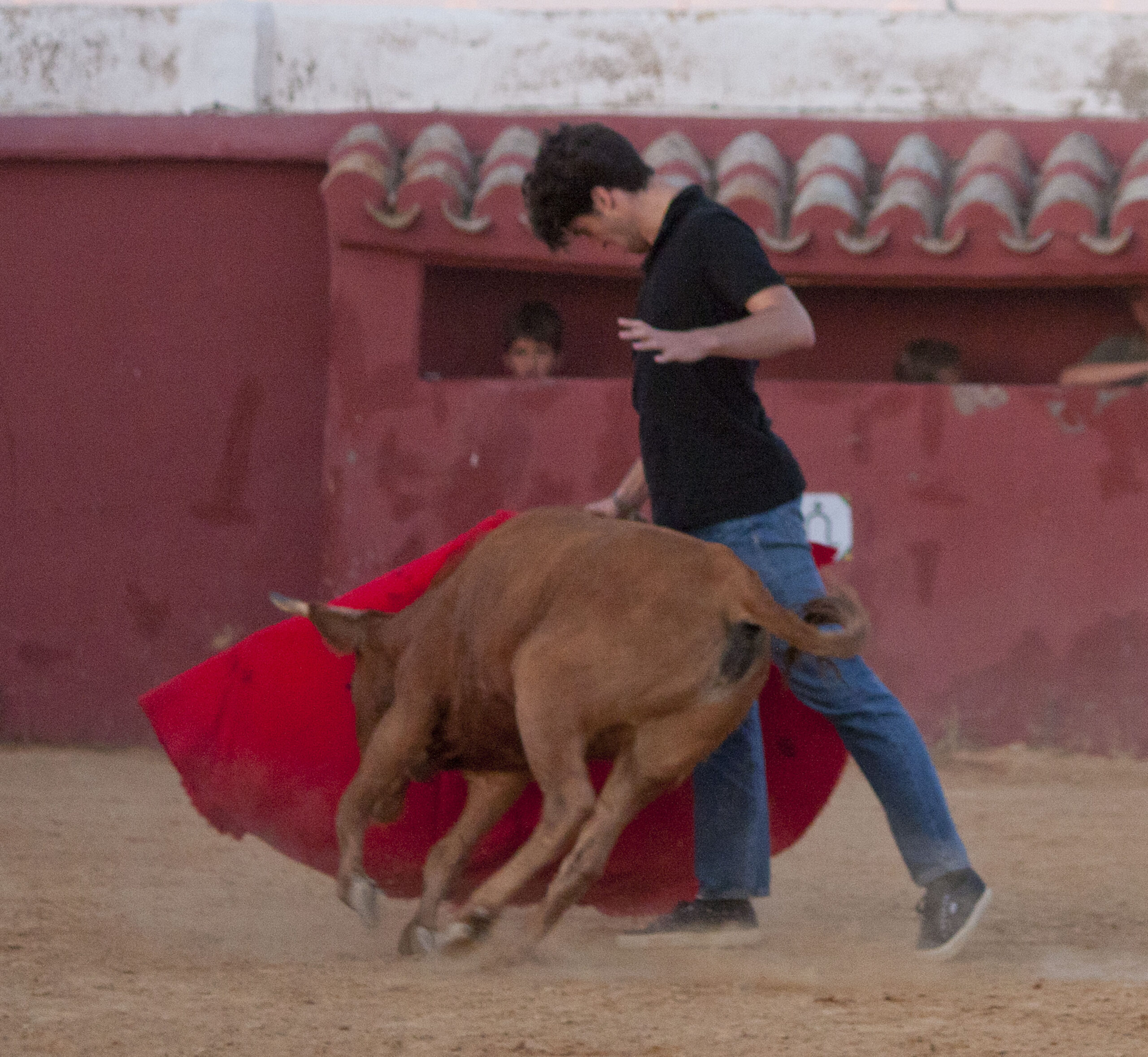 Tentadero en Daniel Ruiz