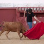 Tentadero en Daniel Ruiz