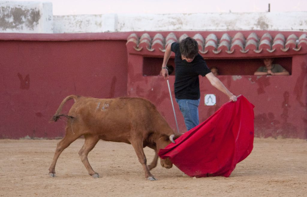 Tentadero en Daniel Ruiz