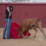 Tentadero en Daniel Ruiz