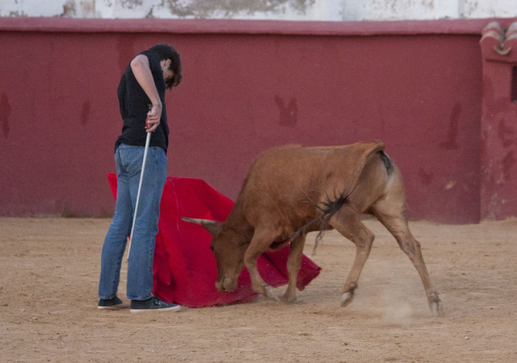 Tentadero en Daniel Ruiz