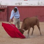 Tentadero en Daniel Ruiz