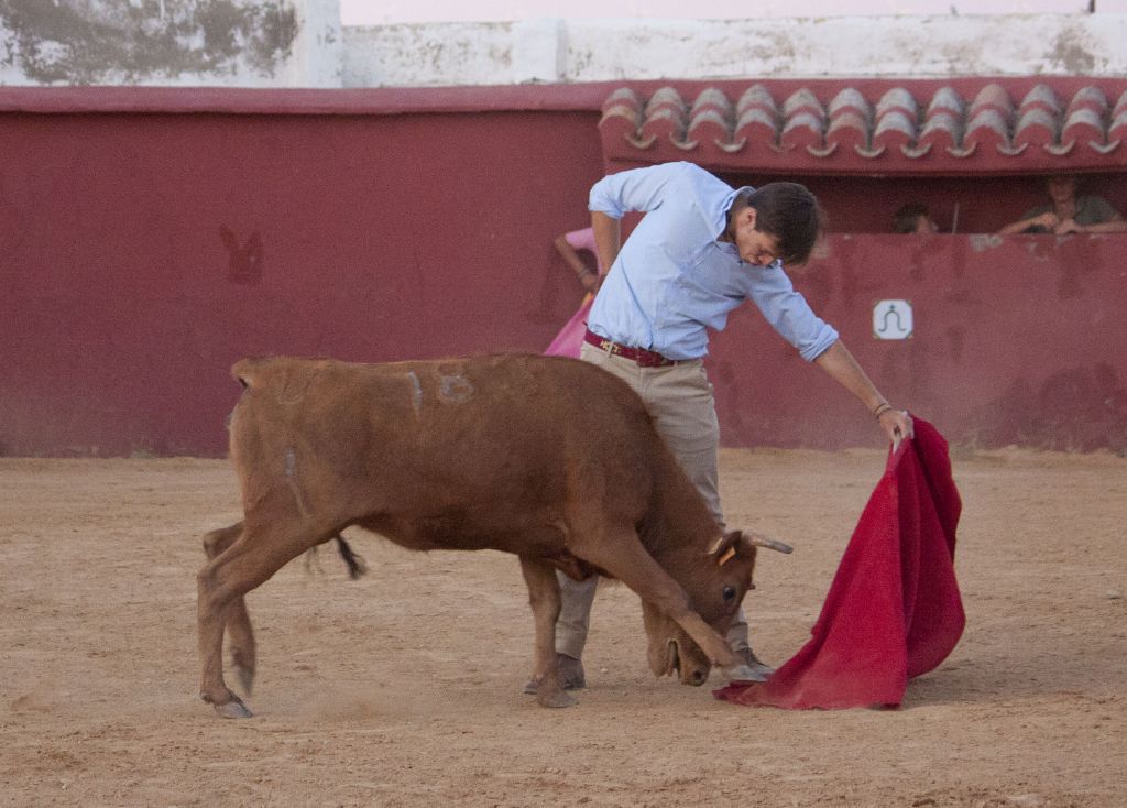 Tentadero en Daniel Ruiz