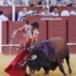 Málaga, 16 de agosto de 2019.