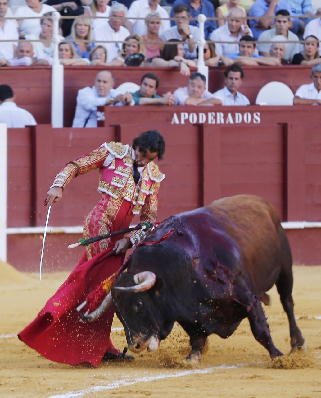 Málaga, 16 de agosto de 2019.