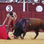 Málaga, 16 de agosto de 2019.