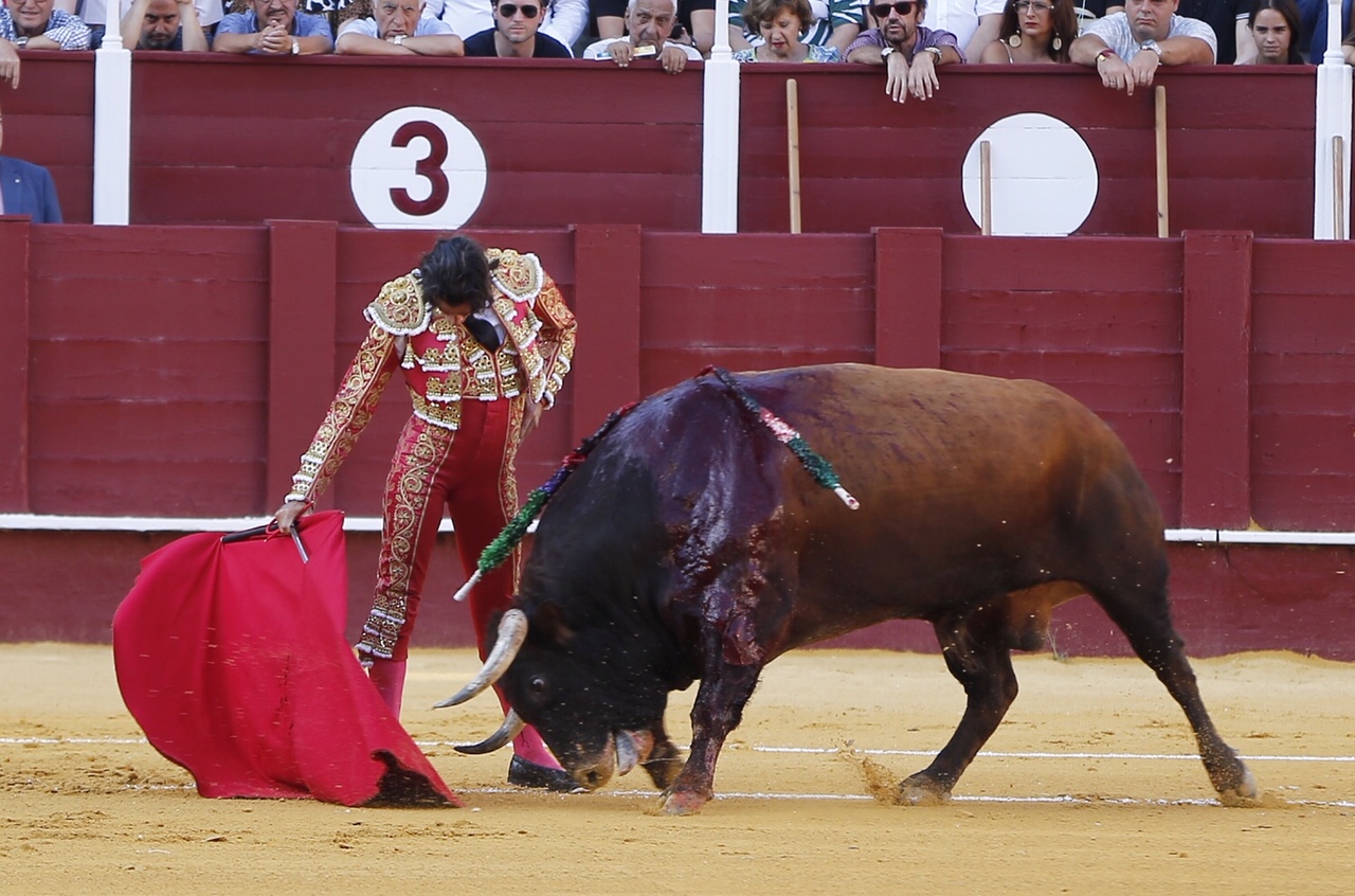 Málaga, 16 de agosto de 2019.