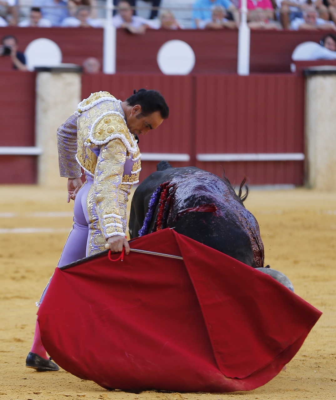 Málaga, 16 de agosto de 2019.