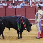 Málaga, 16 de agosto de 2019.