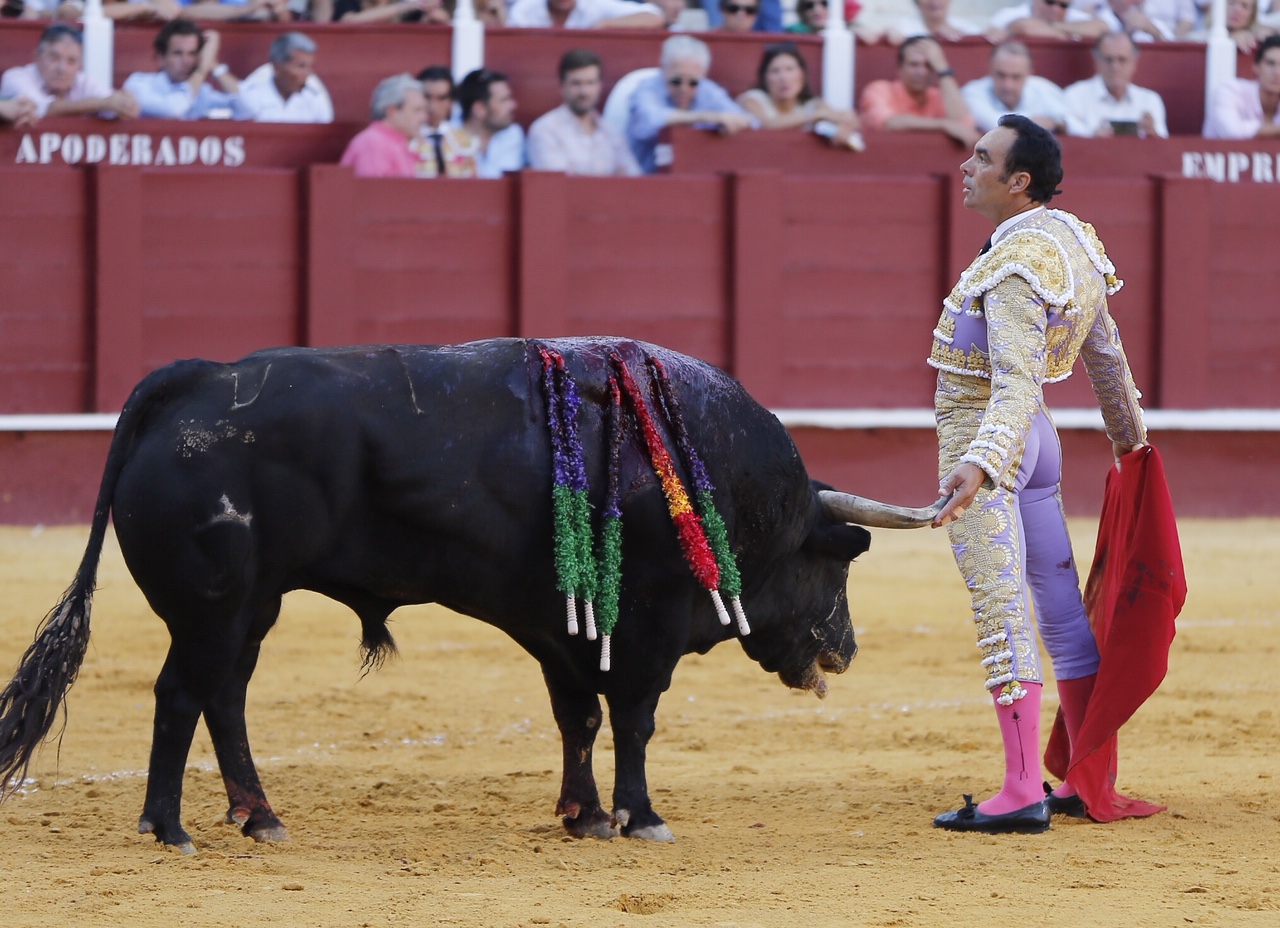 Málaga, 16 de agosto de 2019.