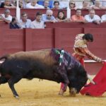 Málaga, viernes 16 de agosto de 2019.
