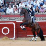 Huelva, domingo 4 de agosto de 2019