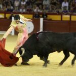 Alicante, domingo 4 de agosto de 2019