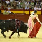 Alicante, domingo 4 de agosto de 2019