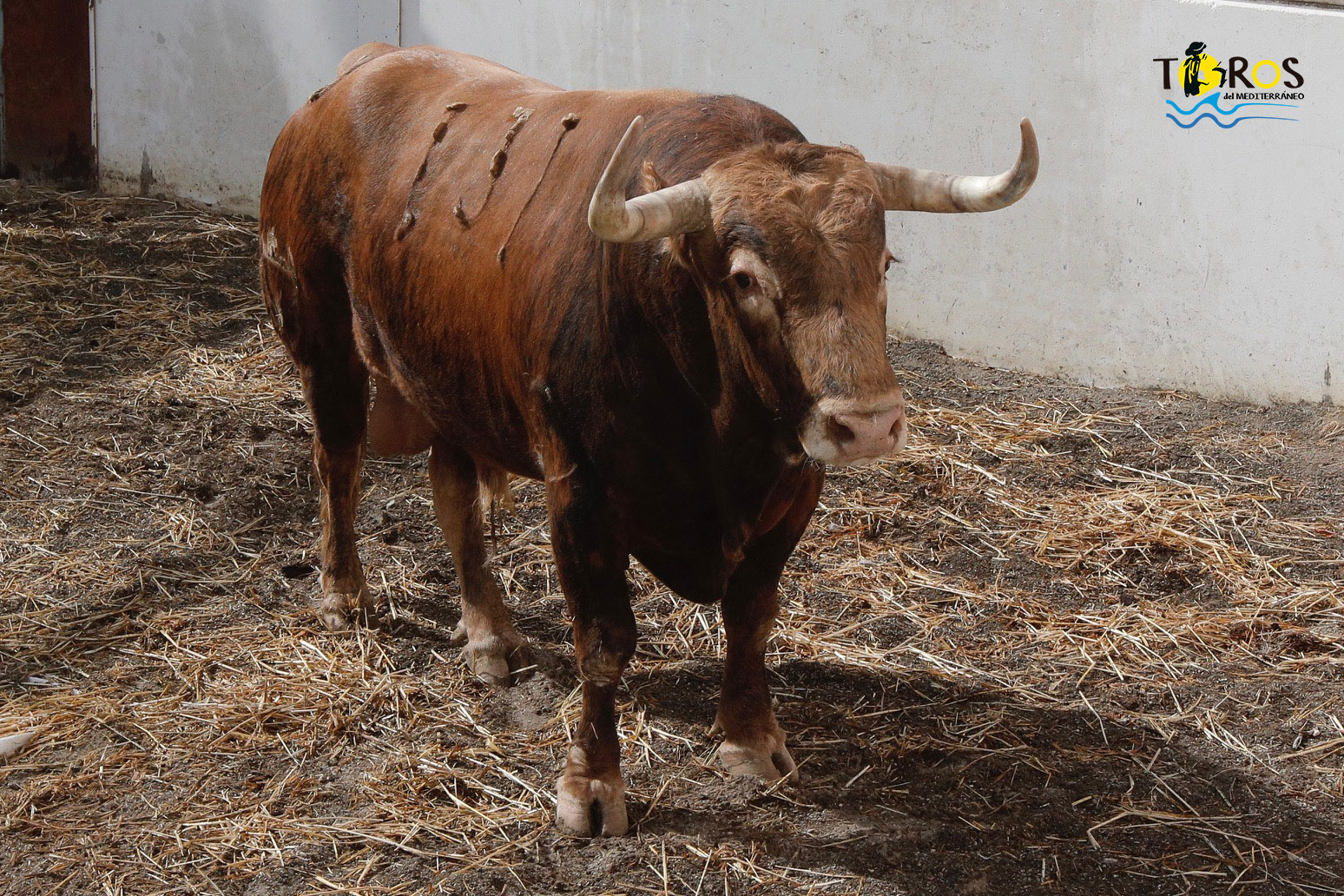 Sorteo. Málaga, miércoles 14 de agosto de 2019