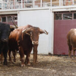 Sorteo. Málaga, miércoles 14 de agosto de 2019