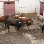 Sorteo. Málaga, miércoles 14 de agosto de 2019