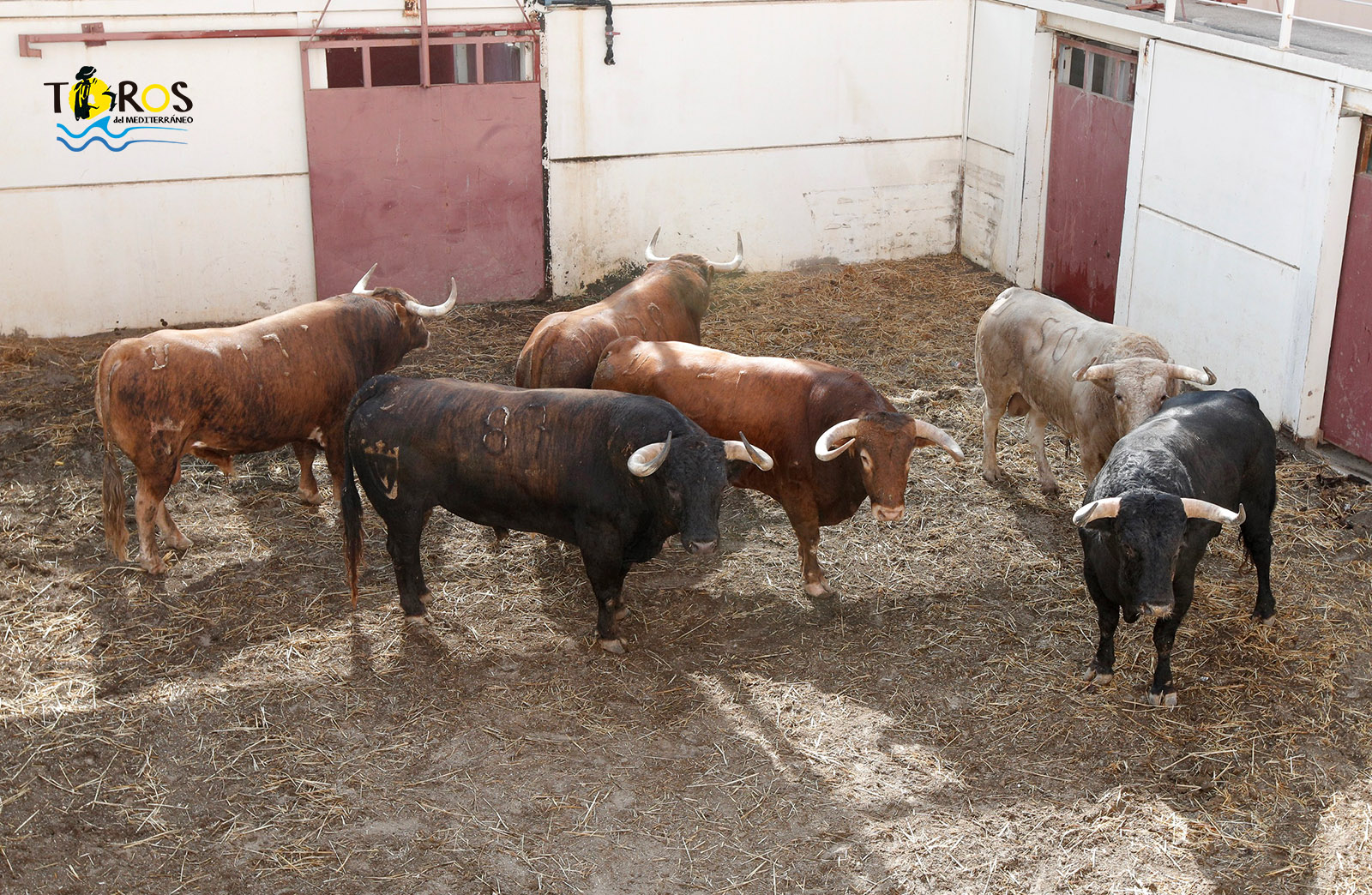 Sorteo. Málaga, miércoles 14 de agosto de 2019