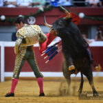 San Sebastián, miércoles 14 de agosto de 2019