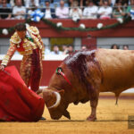San Sebastián, miércoles 14 de agosto de 2019