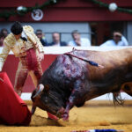 San Sebastián, jueves 15 de agosto de 2019