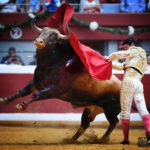 San Sebastián, jueves 15 de agosto de 2019