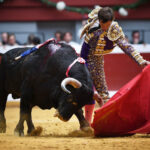 San Sebastián, jueves 15 de agosto de 2019