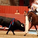 Pontevedra, sábado 10 de agosto de 2019