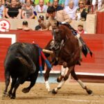 Pontevedra, sábado 10 de agosto de 2019