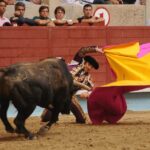 Pontevedra, sábado 10 de agosto de 2019