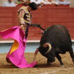 Pontevedra, sábado 10 de agosto de 2019