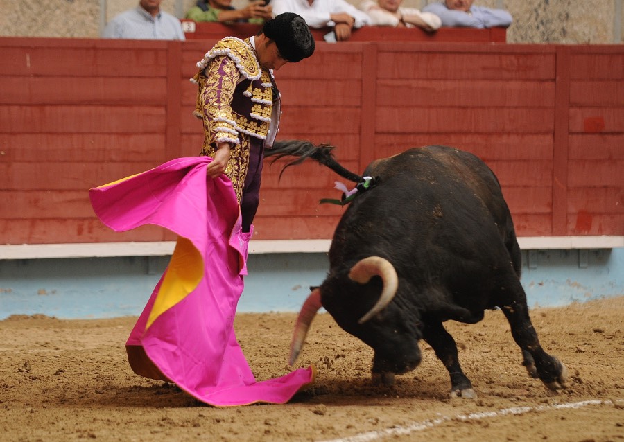 Pontevedra, sábado 10 de agosto de 2019
