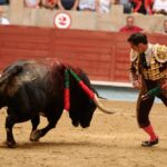 Pontevedra, sábado 10 de agosto de 2019