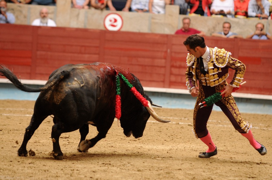 Pontevedra, sábado 10 de agosto de 2019