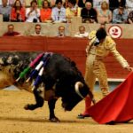 Pontevedra, sábado 10 de agosto de 2019