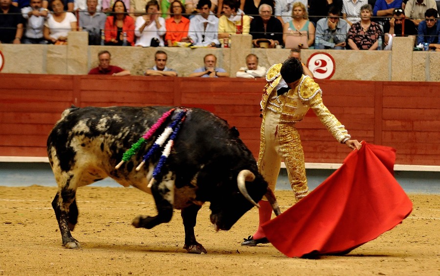 Pontevedra, sábado 10 de agosto de 2019