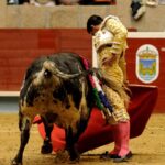 Pontevedra, sábado 10 de agosto de 2019