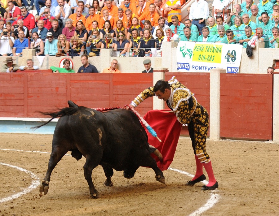 Pontevedra, domingo 11 de agosto de 2019