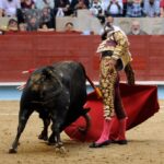 Pontevedra, domingo 11 de agosto de 2019