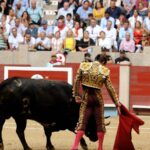 Pontevedra, domingo 11 de agosto de 2019