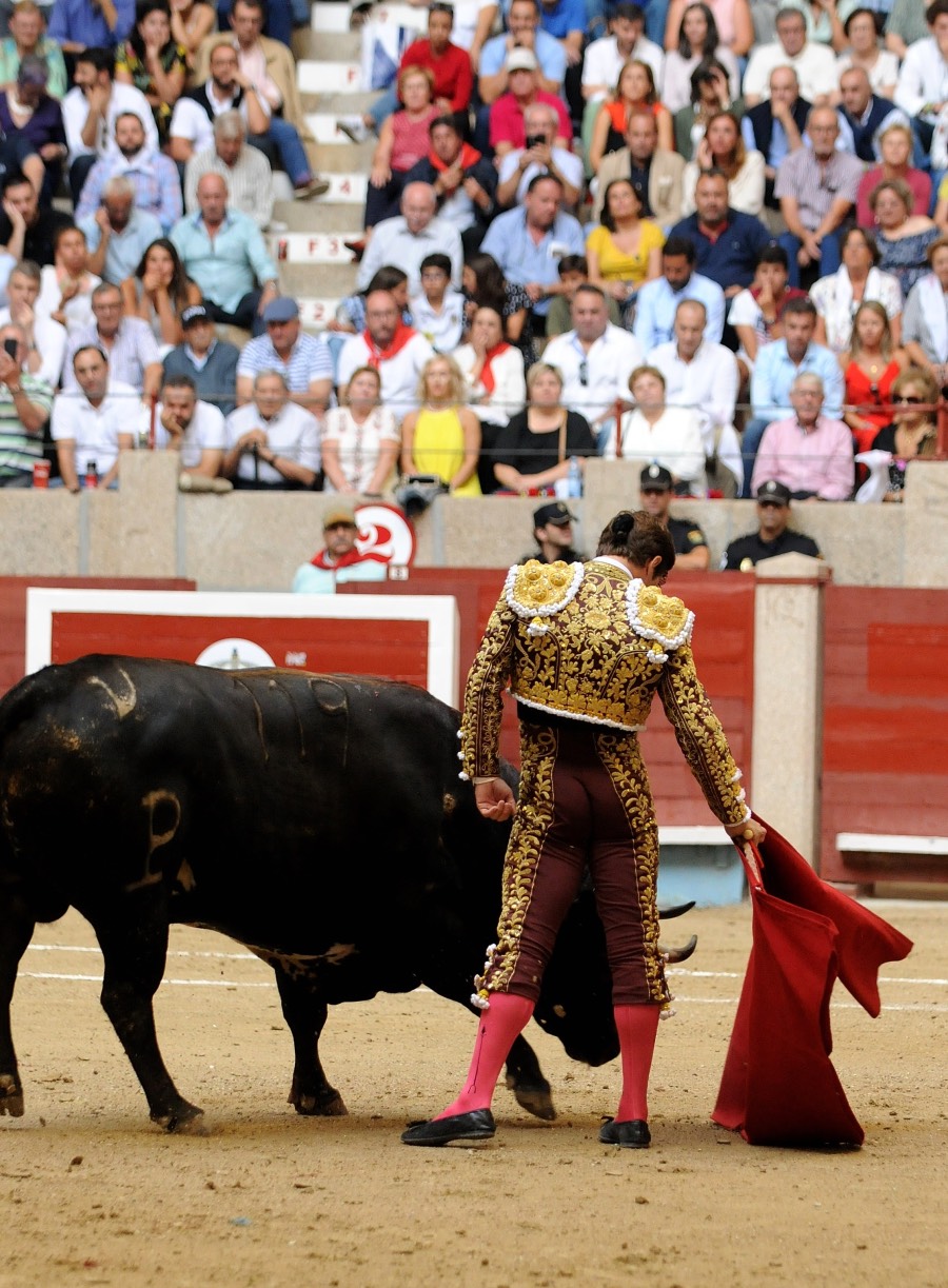 Pontevedra, domingo 11 de agosto de 2019