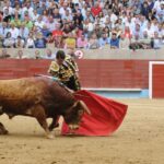 Pontevedra, domingo 11 de agosto de 2019