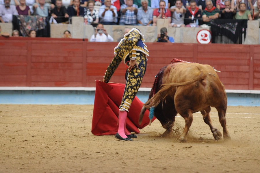 Pontevedra, domingo 11 de agosto de 2019