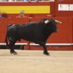 Palma de Mallorca, viernes 9 de agosto de 2019