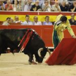 Palma de Mallorca, viernes 9 de agosto de 2019