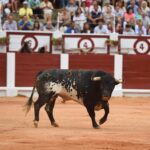 Gijón, miércoles 14 de agosto de 2019